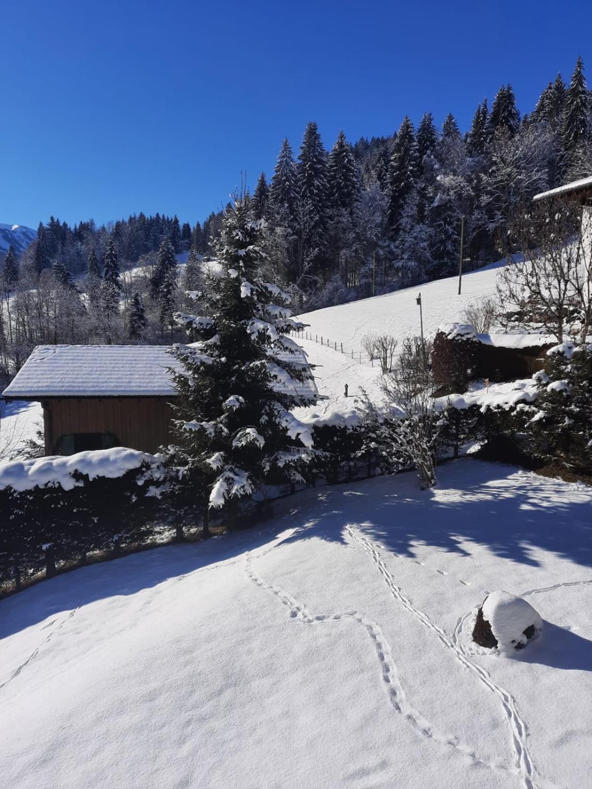 Berghof Mehlan Hotel Fischen im Allgaeu Szoba fotó